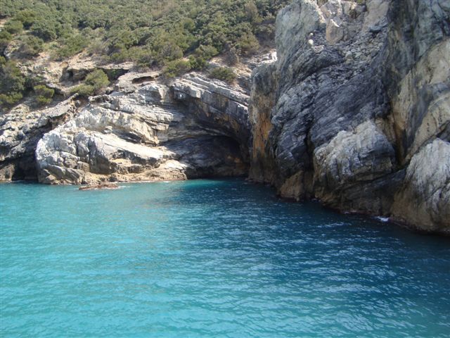 DSC02290